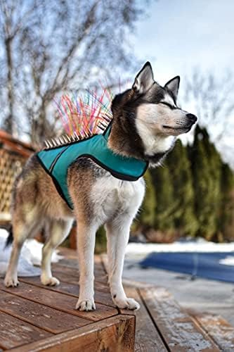 Colete de proteção ao chicote de cães coyotevest, acessórios refletivos para cães com espinhos para proteger seu animal de estimação de ataques de raptor e animais, orgulhosamente feitos na América