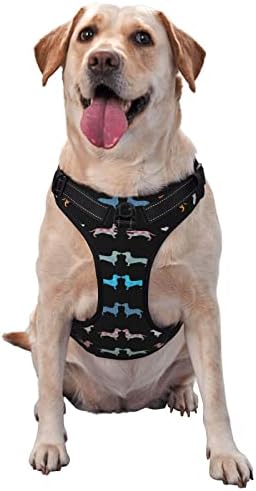 Cão cão cão dachshund aquarela arco -íris animal de estimação ajustável ao ar livre arnês
