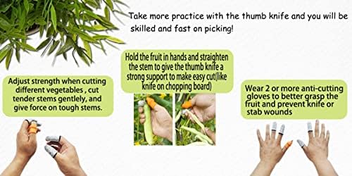 Faca de jardinagem com estojo, dedo Pruer para jardineiros, plantas de faca de faca colhendo ferramentas de acabamento, kit de ferramentas de jardinagem de cortador de polegar laranja para colher vegetal de frutas vegetais