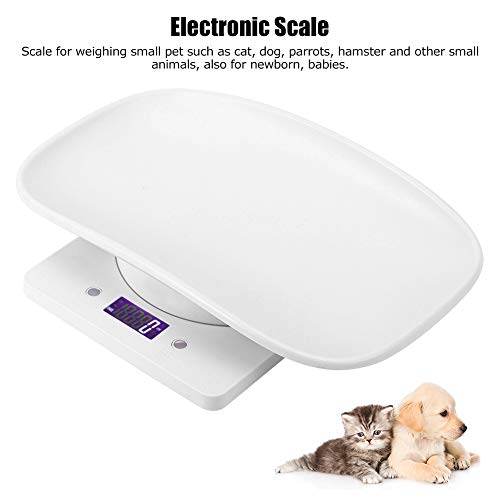 Escala digital para animais de estimação, pesa com precisão 10 kg/1g de pequena escala de peso para animais de estimação para gatos
