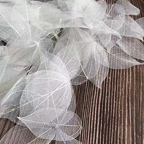 Queenbox 95pcs folhas de esqueleto natural, veia de folhas de árvore pressionada sólida, material artesanal artesanal para o casamento