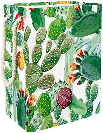 DJROW Cactus aquarela Bobetor de armazenamento de armazenamento Rous