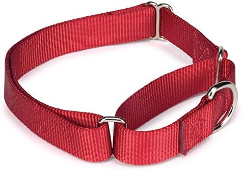 Guardian Gear Nylon Martingale Dog Collar, se encaixa no pescoço 10 a 16, vermelho