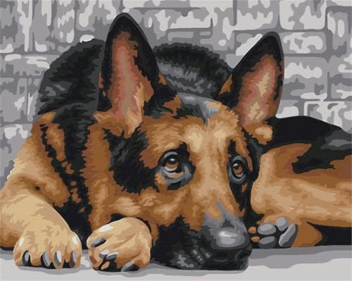Pintura yscolor por números simples cor de óleo de animal deitada de cachorro pintura a óleo diy by números art artes de
