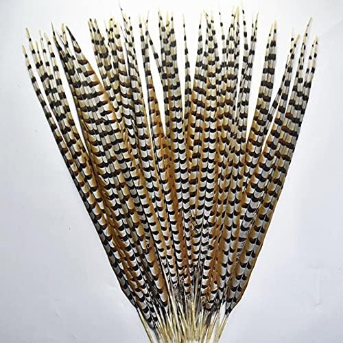 Zamihalaa Lady Natural Amherst Pheasant Feathers for Crafts12-72 Long Reeves Veney Pheasant Tail Feathers Decor Decor de Decoração