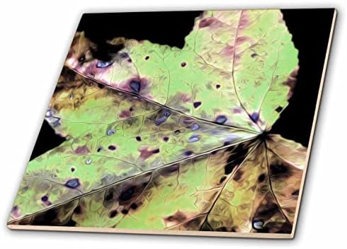 Fotografia abstrata de 3drose de uma folha de sweetgum em verde no fundo preto. - Azulejos