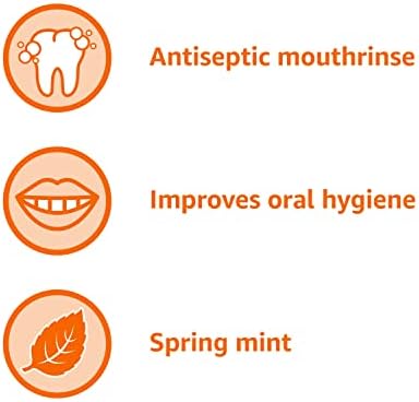 Basics Anti-séptico enxaguatório bucal, hortelã, 8,5 onças fluidas, 1 pacote