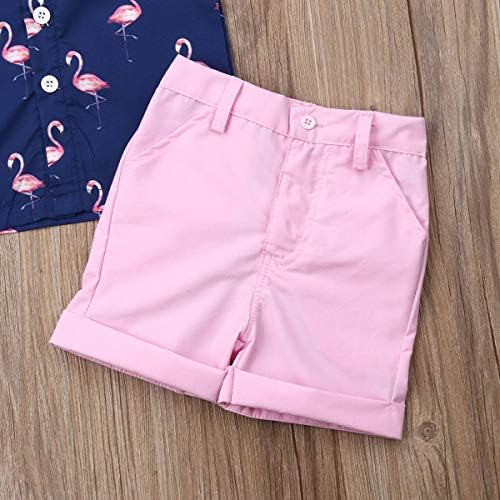 Criança bebê menino flamingo de manga curta para baixo camisa e shorts casuais definir roupas de verão de 1 a 6 anos