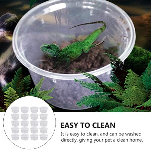 Recipientes de vidro 40 PCS Caixa de réptil de plástico Caixa de repários Caixa de criação de lagarto plástico Caixas de alimentação de estojos de tartaruga lagarto