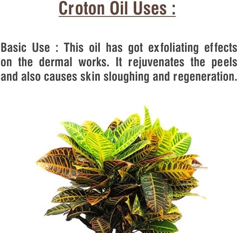 Óleo de Croton Óleo essencial