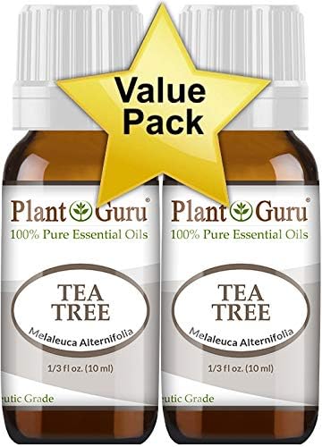 Óleo essencial da árvore do chá 30 ml. / 1 oz. puro extrato de grau terapêutico não puro da Melaleuca alternifolia para