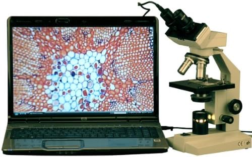 Microscópio binocular composto B100B-E2 AMSCOPE, ampliação 40x-2000x, campo brilhante, iluminação de tungstênio, condensador abbe, estágio simples, com câmera de 2MP
