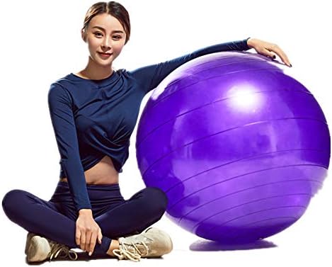 Bola de exercício Fullgaden com bomba de pé rápido, equilíbrio de estabilidade anti-explosão e escorregamento de grau profissional para ioga, treino, l （58-65cm）, prata