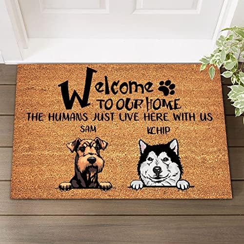 Bem -vindo à nossa casa, os humanos apenas moram aqui conosco com a porta de bigão e fácil limpo, nome do animal de
