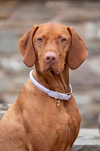 Digby & Fox Rolled Leather Dog Collar