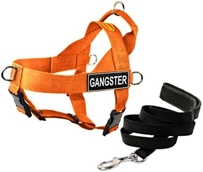 Dean & Tyler DT Universal No Pull Dog Harness com manchas de gângster e coleira de cachorro, laranja, x-large