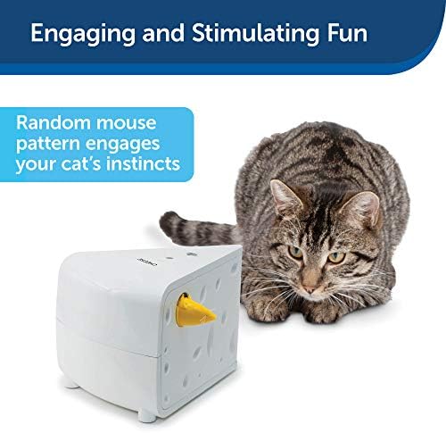 PetSafe queijo - brinquedo interativo e eletrônico de gato - jogo de caça ao mouse de peek -a -boo - esconde -se e procure por gatos