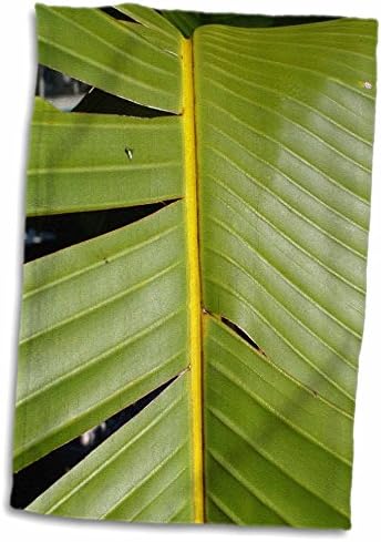 3drose fleene macro natureza - folha de banana 1 - toalhas