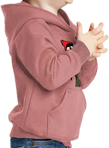 Hoodie de pulôver de pica -pau do pica -pau - capuz de lã de esponja de desenhos animados - capuz de arte para crianças