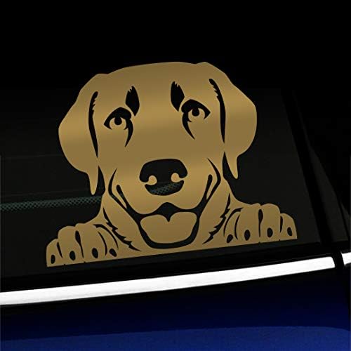 Reflexão artística Peeking Labrador Retriever - Decalque de carro de vinil - Escolha cor - [prata]