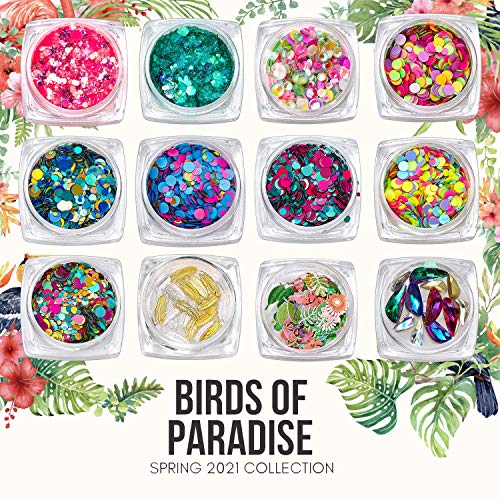 Makartt Birds of Paradise Decoration Kit Pacote com 50ml de gel de gel de unha poli de 50 ml