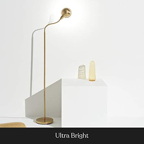 Lâmpada de piso LED de Regente Brightech, luz de pólo de canto em pé livre com pescoço de ganso ajustável, lâmpada magra e brilhante