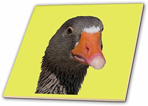 3drose pescoço up fotografia retrato de um pato marrom nerd - azulejos