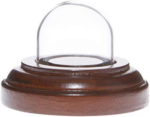 Plymor miniature 1 x 1 mini -vidro Dome Dome Tiny Cloche