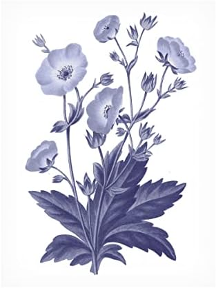 Marca registrada Bine Art 'Dark Blue Botanical VI' Arte de tela por portfólio de maçã selvagem 14x19