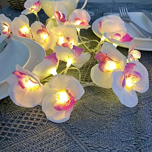 9,8 pés 20 LED Phalaenopsis Lights Orquídea Fada Fada Luz com 8 Modos Remoto para o Dia dos Namorados, Casamento,