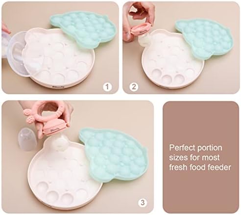 Silicone Baby Food Mold, alimentador de frutas de leite materno, BPA livre