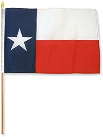 RFCO Texas 12 x18 bandeira