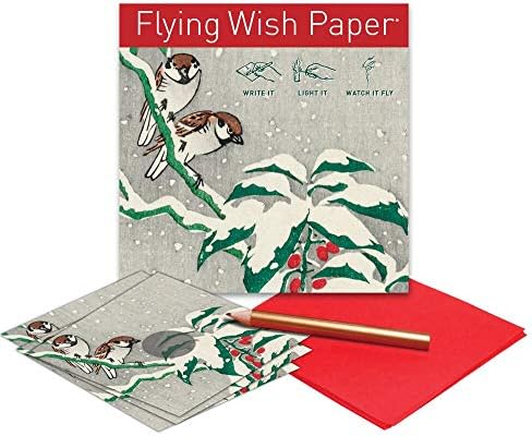 Papel Flying Wish - Escreva, acende e assista a voar - Birds de neve - 5 x 5 - mini kits caprichosos