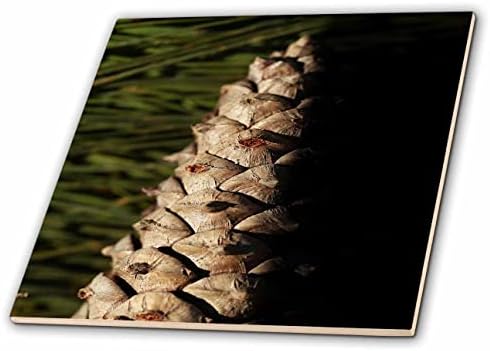 3DROSE Uma fotografia macro de um pinecone deitada em agulhas de pinheiro verde. - Azulejos