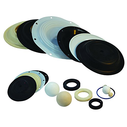 N02-9553-52 P200 BUNna/Kit de extremidade de fluido plástico substitui Wilden® P/N 02-9553-52