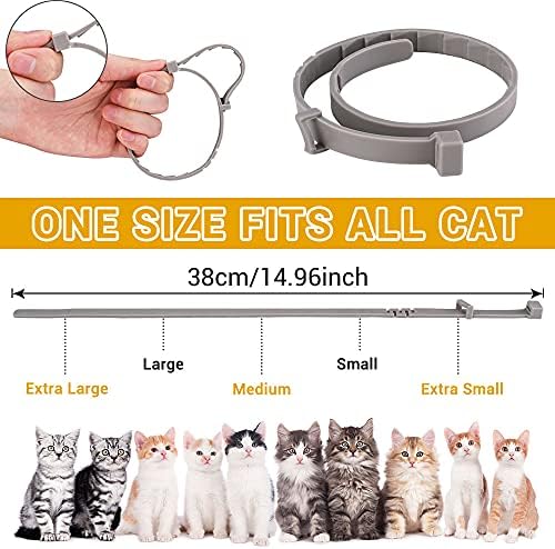 Budoci Pet Flea Collar Small Size e prevenção de carrapatos para gatos, 2 pacote de pacote e colarinho para gatos, 38cm/15 polegadas, 8 meses de proteção