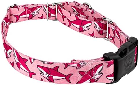 Country Brook Petz - Sharks Pink Sharks Martingale Dog Collar com Deluxe Buckle - Coleção de Animais com 12 desenhos selvagens