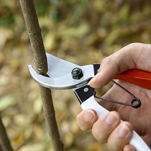 Tesouras de jardim, wangwuqaun scissors de jardinagem profissionais de 8 polegadas podando tesouras de corcepção de
