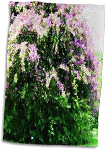 3drose florene abstrato floral - bogainville bloom - toalhas