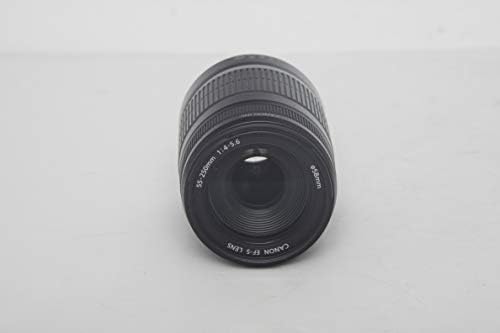 Canon EF-S 55-250mm f/4-5.6 IS II Lente de zoom de telefoto para câmeras Canon EOS DSLR