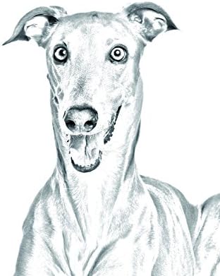 Greyhound italiano, lápide oval de azulejo de cerâmica com uma imagem de um cachorro