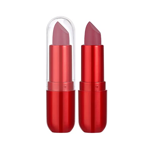 16 desejos comprovam batom com maquiagem labial Veludo duradouro High Pigmment Nude Impermeável Lip Gloss Girls Makeup