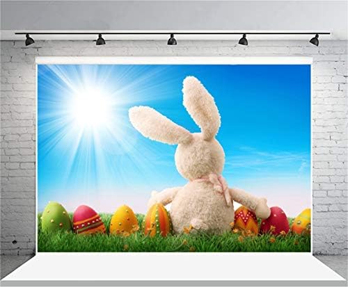 Aofoto 7x5ft ovos de Páscoa coloridos Bunny Bunny Cenário Sunbeam Spring Meadow Photopions Backgrody Baby Infantil recém
