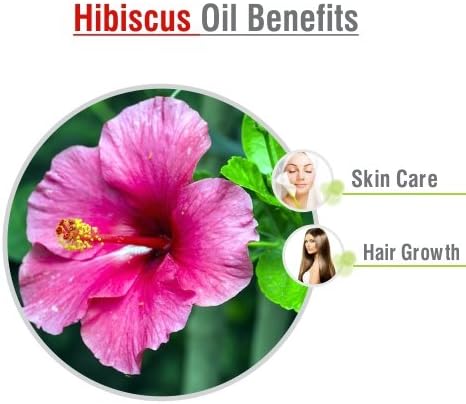 Óleo Essential de Hibiscus puro sem diluído A aromaterapia com aromaterapia premium premium premium premium