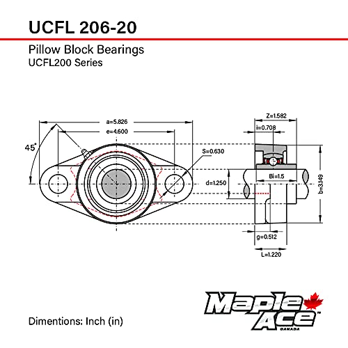 Maple Ace UCFL206-20 Flange Rolamento 1-1/4 Base sólida de 2 parafusos