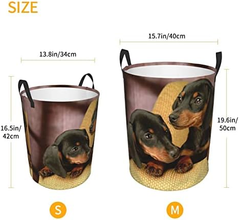 Cachorro cão impresso para cesta de lavanderia Circular cesto cura