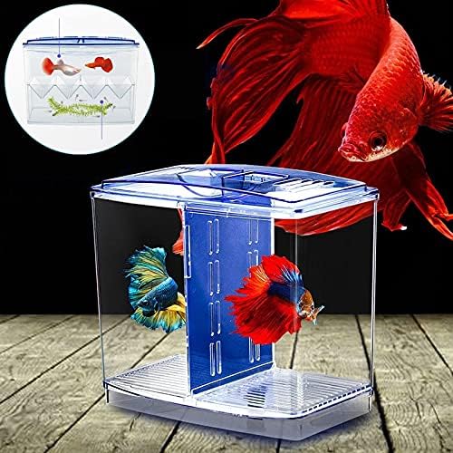 TJLSS Out-tank acrílico peixe reprodução caixa