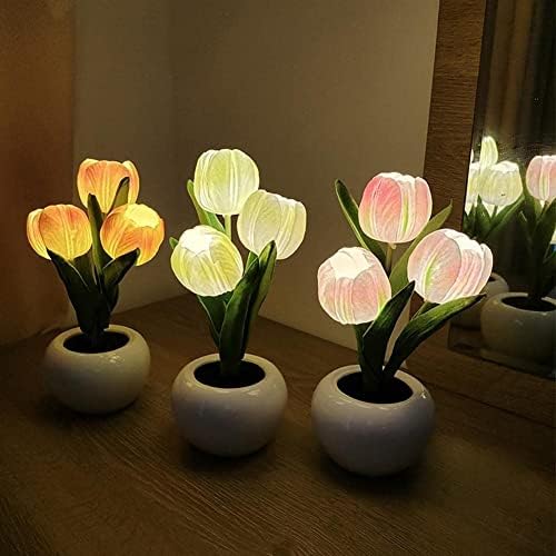 Lâmpadas de lâmpada de tulip