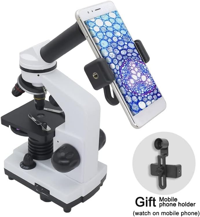 Microscópio de laboratório microscópio ocular ocular wf10x/20 interface ocular angular de larga Acessórios de microscópio de 30 mm