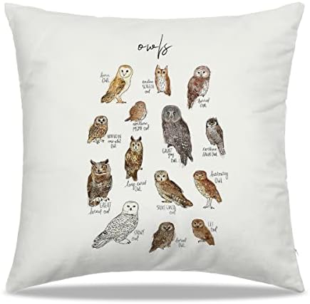 DiBor Owls Poster Throw Pillow Capas 18x18 in - Funny Owls Conhecimento Gráfico educacional Capas de almofadas de sofá decorativas, tipos de fronhas de corujas para sala de estar em casa, garotas de aves meninas presentes de crianças presentes